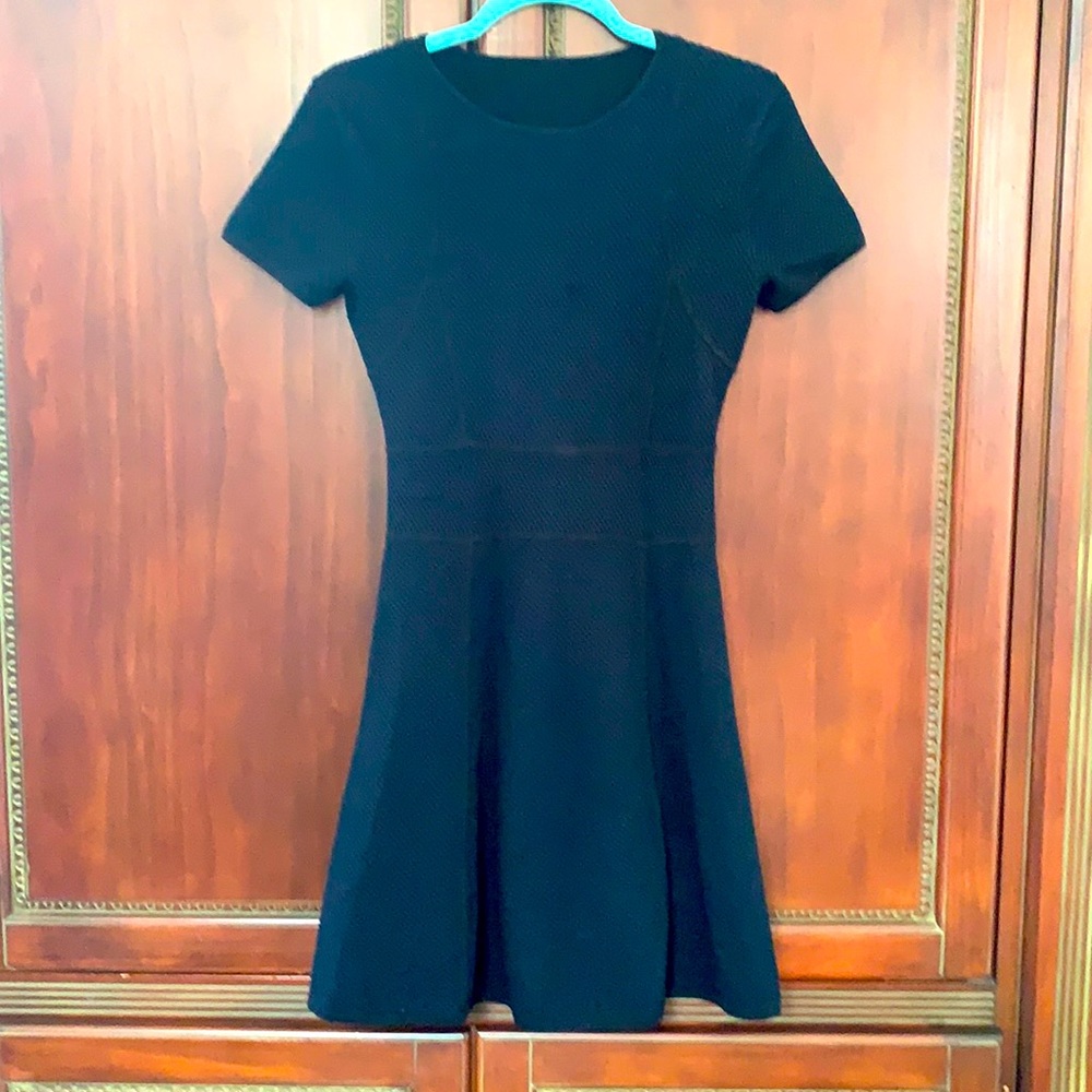 Theory fit and flair Dress S